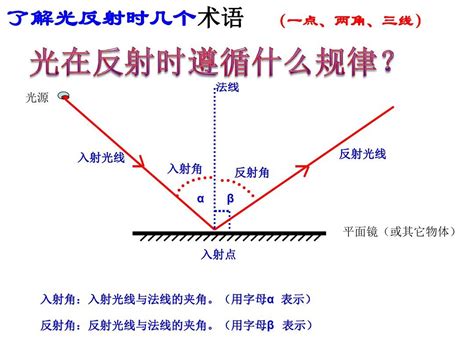 鏡子 反射|反射 (物理學)